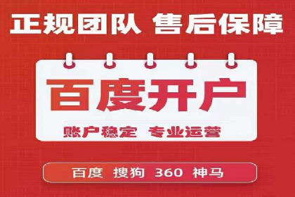 SEM推广实战：成功案例解读与策略调整